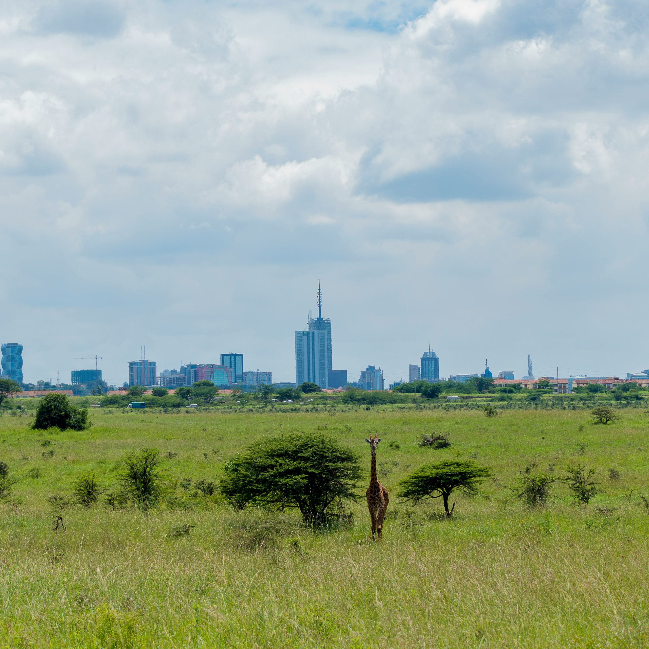 NAIROBI